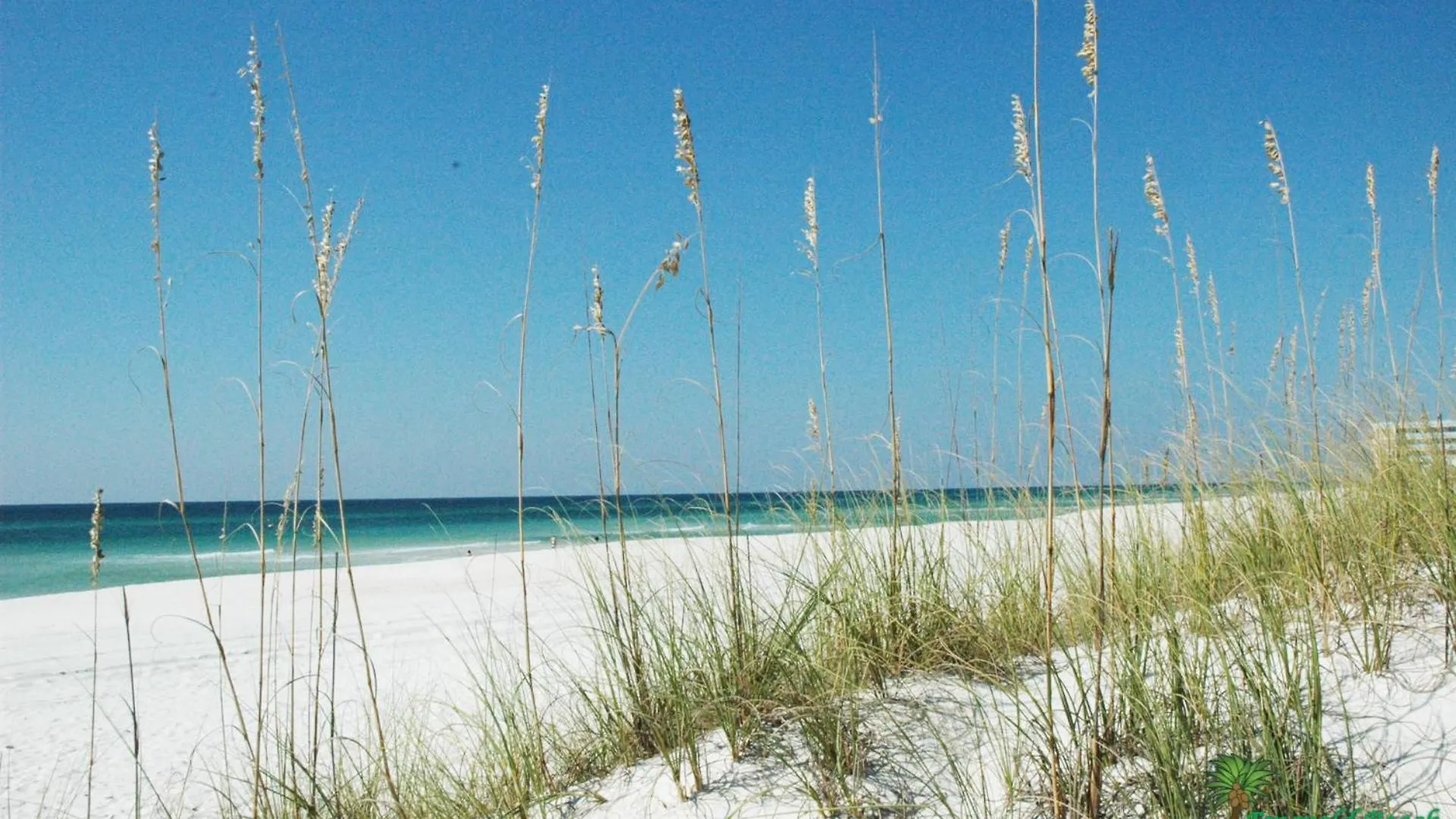 Edgewater Villa 3001 'Vitamin Sea' Panama City Beach Holiday home